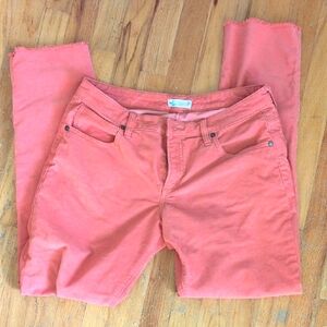 Carve Designs Carson Cords Corduroy Pants Terracotta Size 6